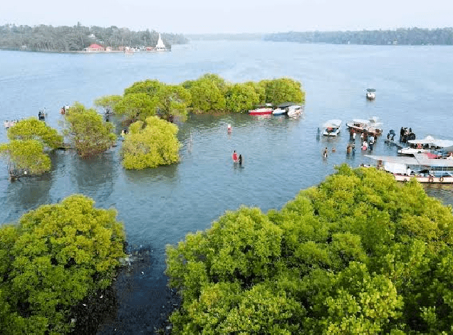 Kollam – Kollam Houseboat (1 Day + 1 Night)